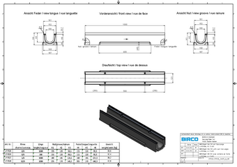 BIRCOlight® avec feuillures en fonte DN 100, caniveau 1 m