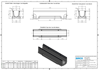 BIRCOlight® avec feuillures en fonte DN 150, caniveau 1 m